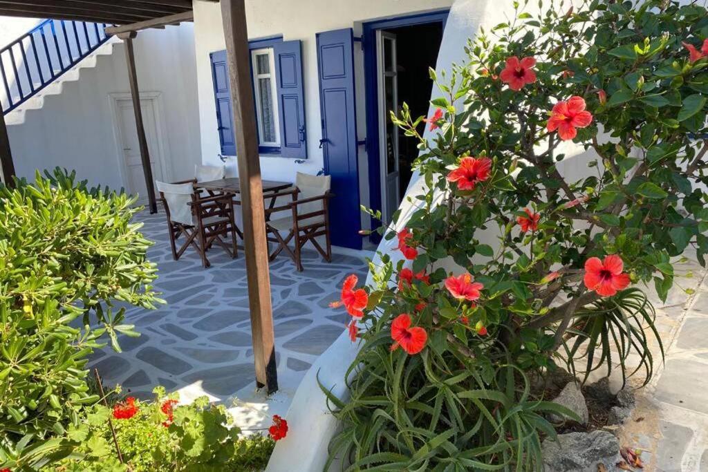 Pigeon House Ornos Beach Mykonos Town Exteriér fotografie